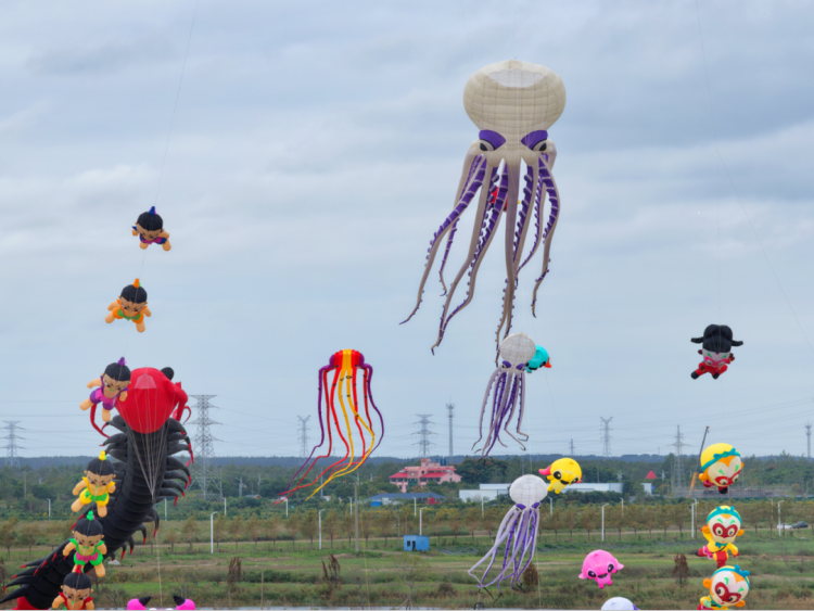 为县域经济, 赛事热度正